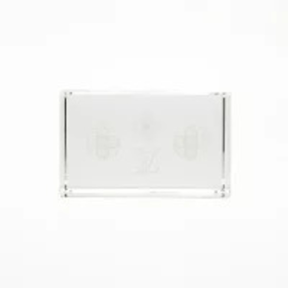 Louis Vuitton Randy Crystal Accessories Clear